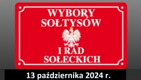  Wybory Sołtysów i Rad...